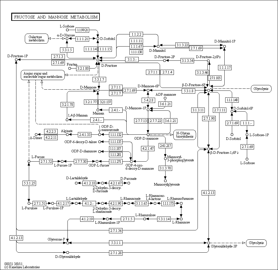 Cell Cycle