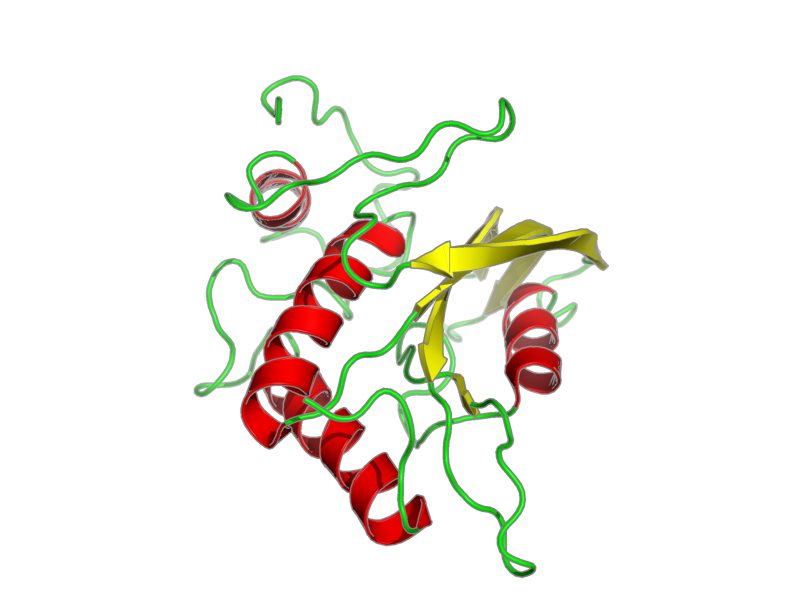 Ribbon image for 2ksv