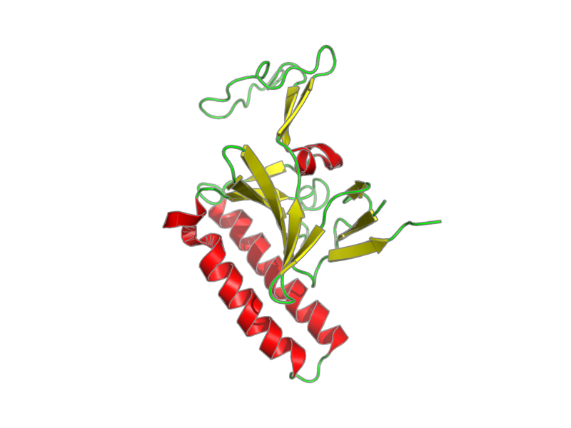 Ribbon image for 2loy