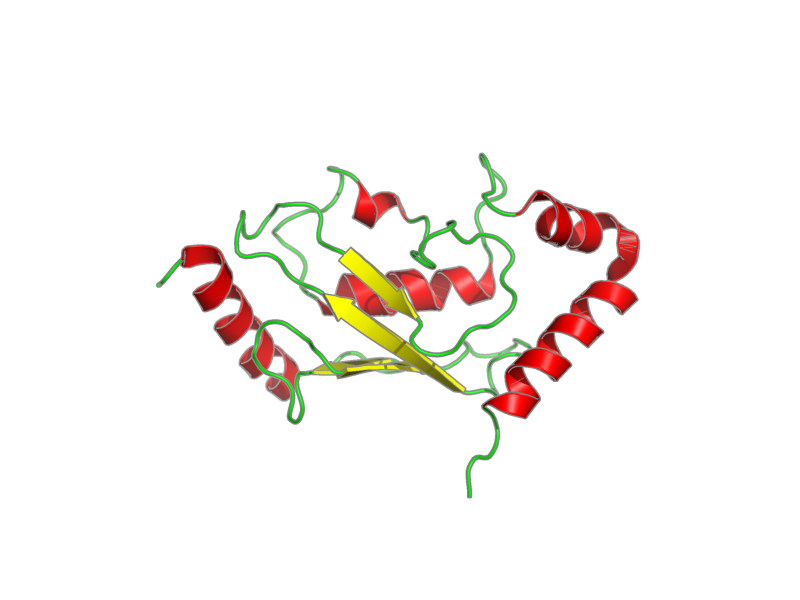 Ribbon image for 2y4w