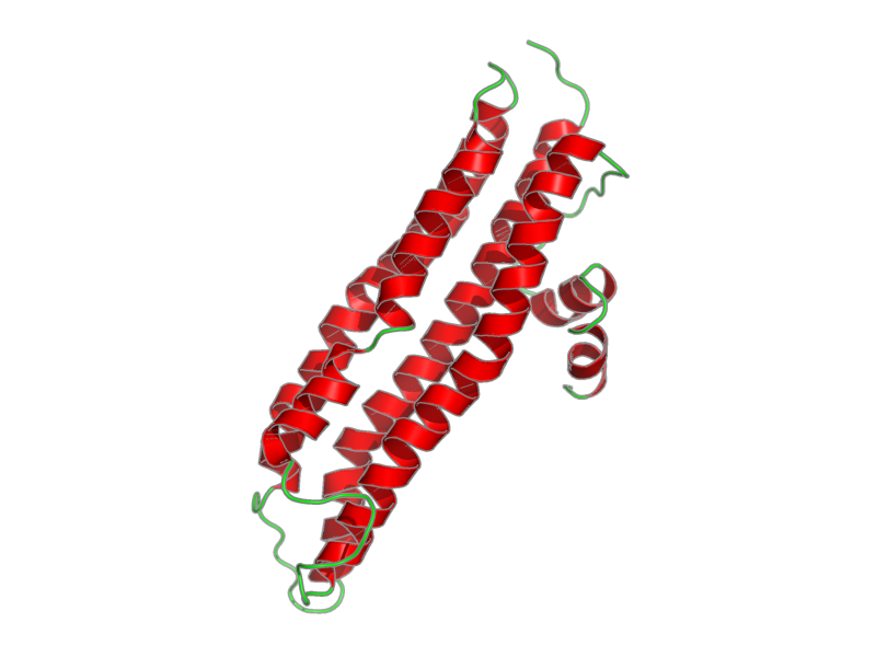 Ribbon image for 2lem