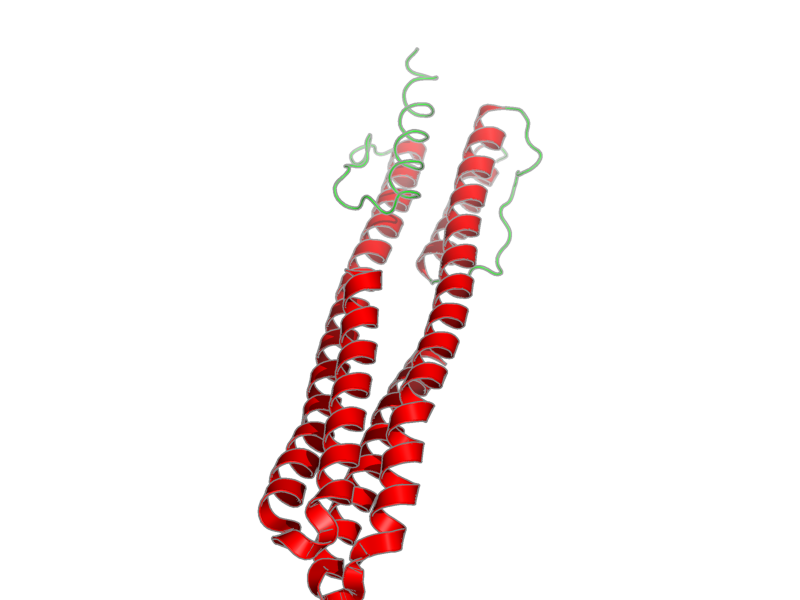 Ribbon image for 2lfs