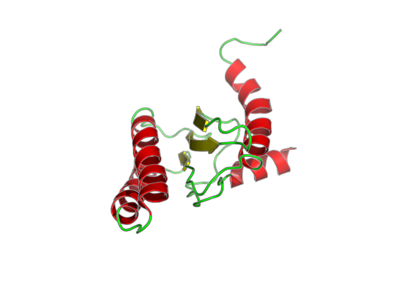 Ribbon image for 2lgt