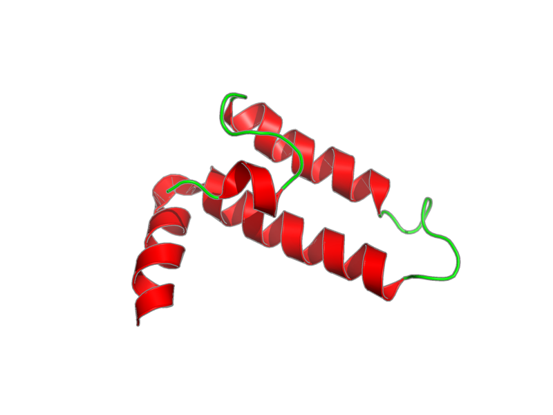 Ribbon image for 2lgw