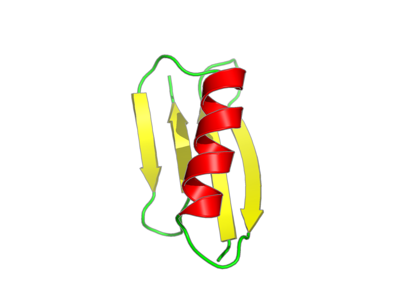 Ribbon image for 2lhd