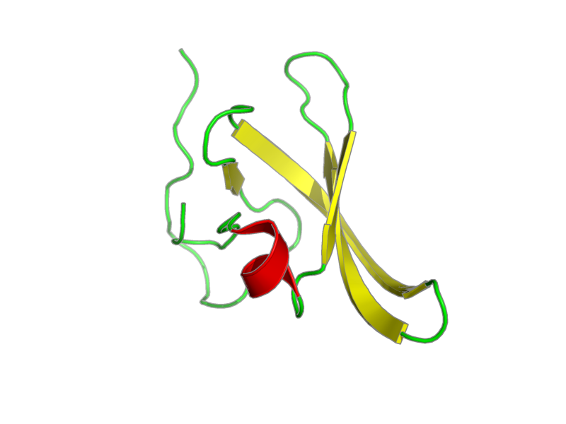 Ribbon image for 2lt1