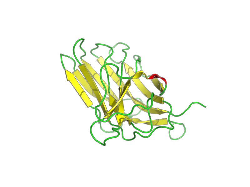 Ribbon image for 2lrp