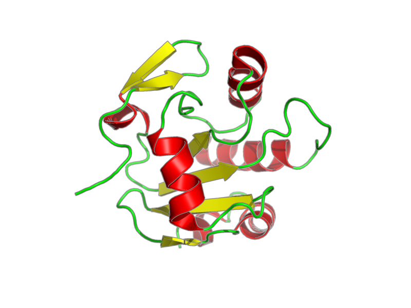 Ribbon image for 2lus