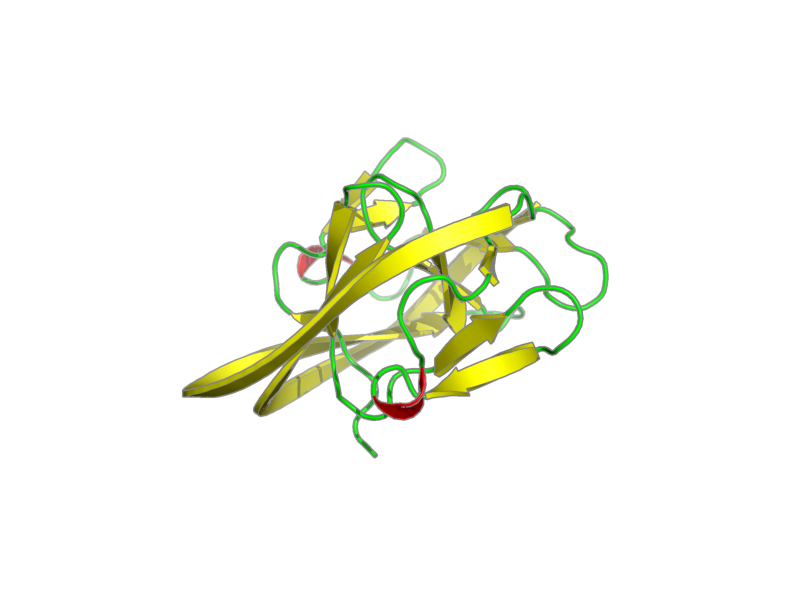 Ribbon image for 2lwy