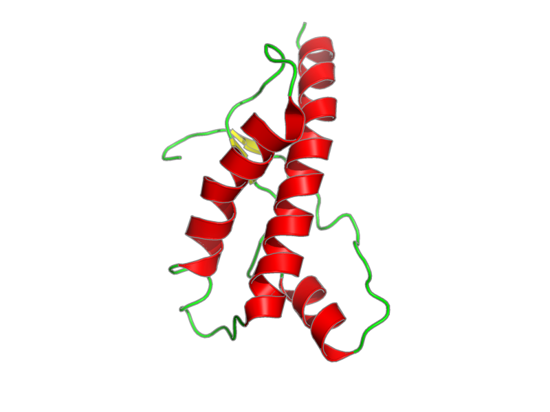 Ribbon image for 2fj3